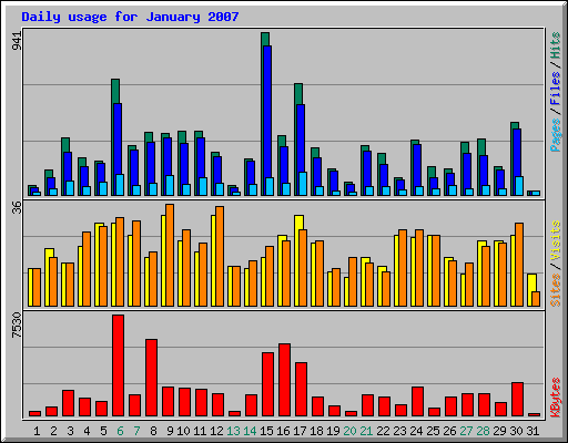 Daily usage for January 2007