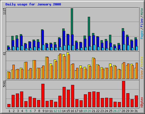 Daily usage for January 2008