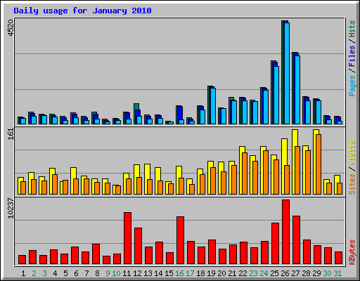 Daily usage for January 2010