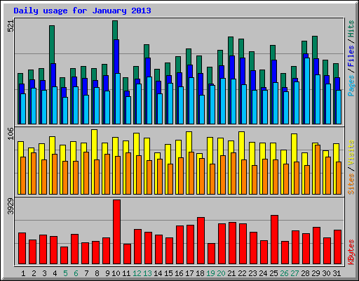Daily usage for January 2013