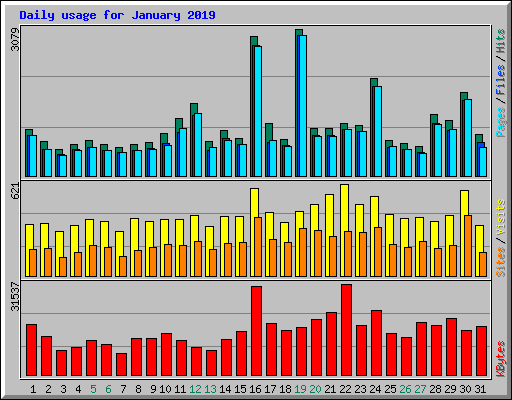 Daily usage for January 2019