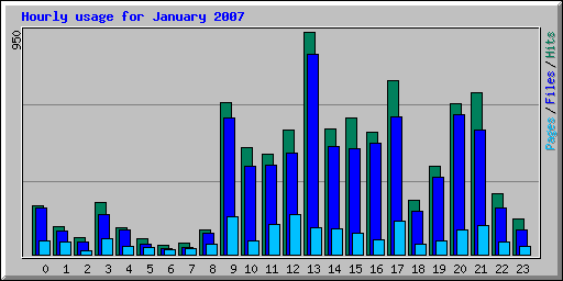 Hourly usage for January 2007