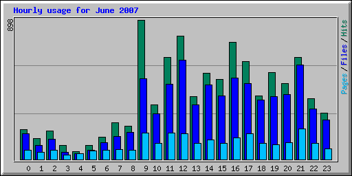 Hourly usage for June 2007