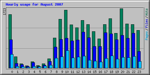 Hourly usage for August 2007