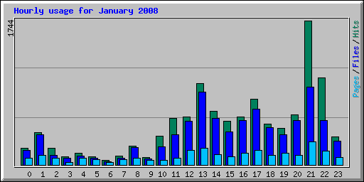 Hourly usage for January 2008