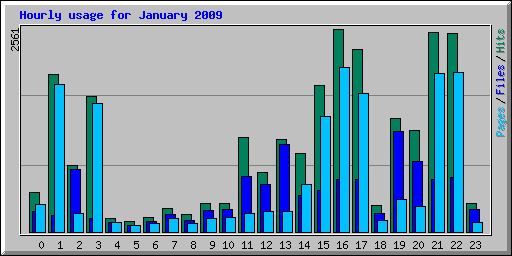 Hourly usage for January 2009