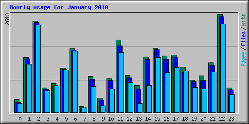 Hourly usage for January 2010