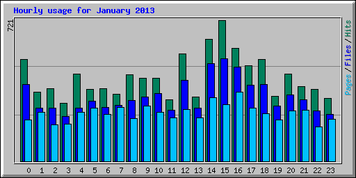 Hourly usage for January 2013