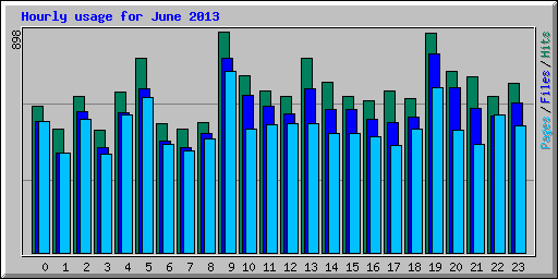 Hourly usage for June 2013
