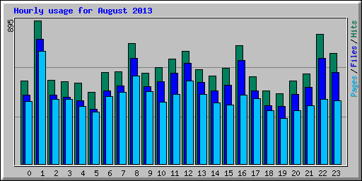 Hourly usage for August 2013