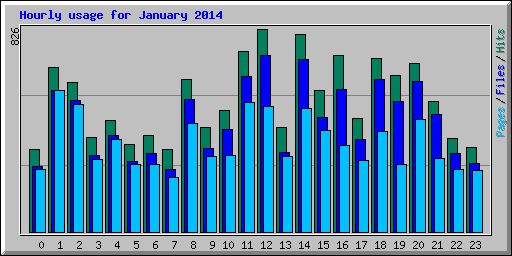 Hourly usage for January 2014