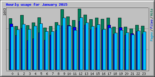 Hourly usage for January 2015