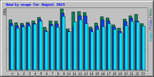 Hourly usage for August 2015