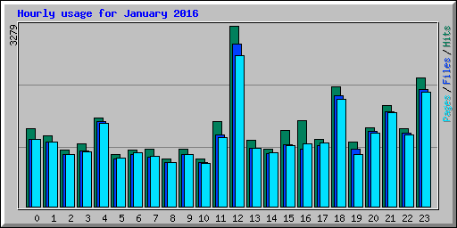 Hourly usage for January 2016