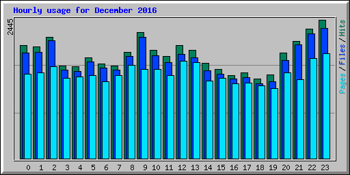 Hourly usage for December 2016