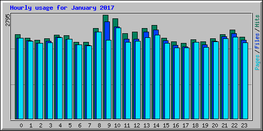 Hourly usage for January 2017