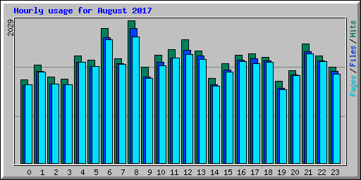 Hourly usage for August 2017