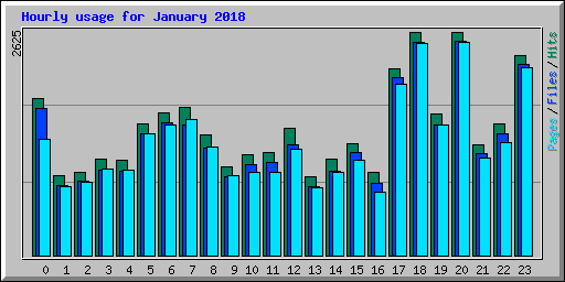Hourly usage for January 2018