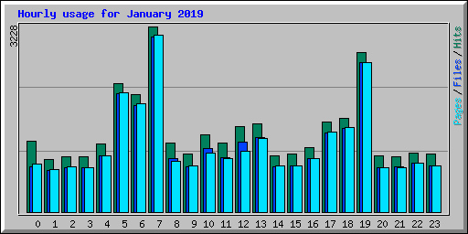 Hourly usage for January 2019