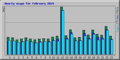 Hourly usage for February 2019