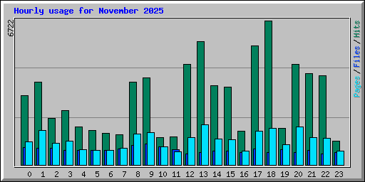 Hourly usage for November 2025