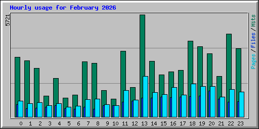 Hourly usage for February 2026