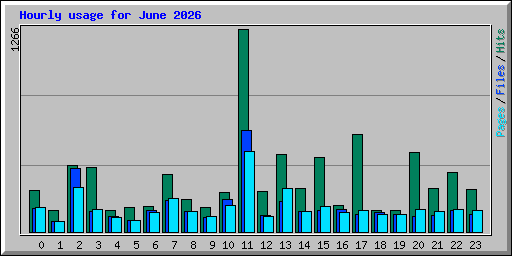 Hourly usage for June 2026